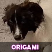Origami