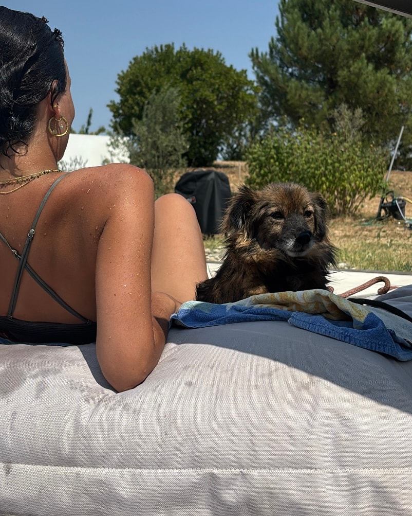 Tili, chien sauvé par Remember Me France